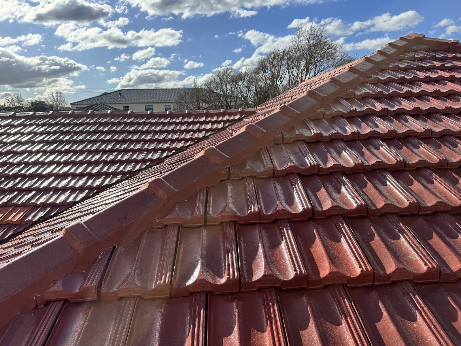 Maxxy Roofing - Roof Restoration Experts