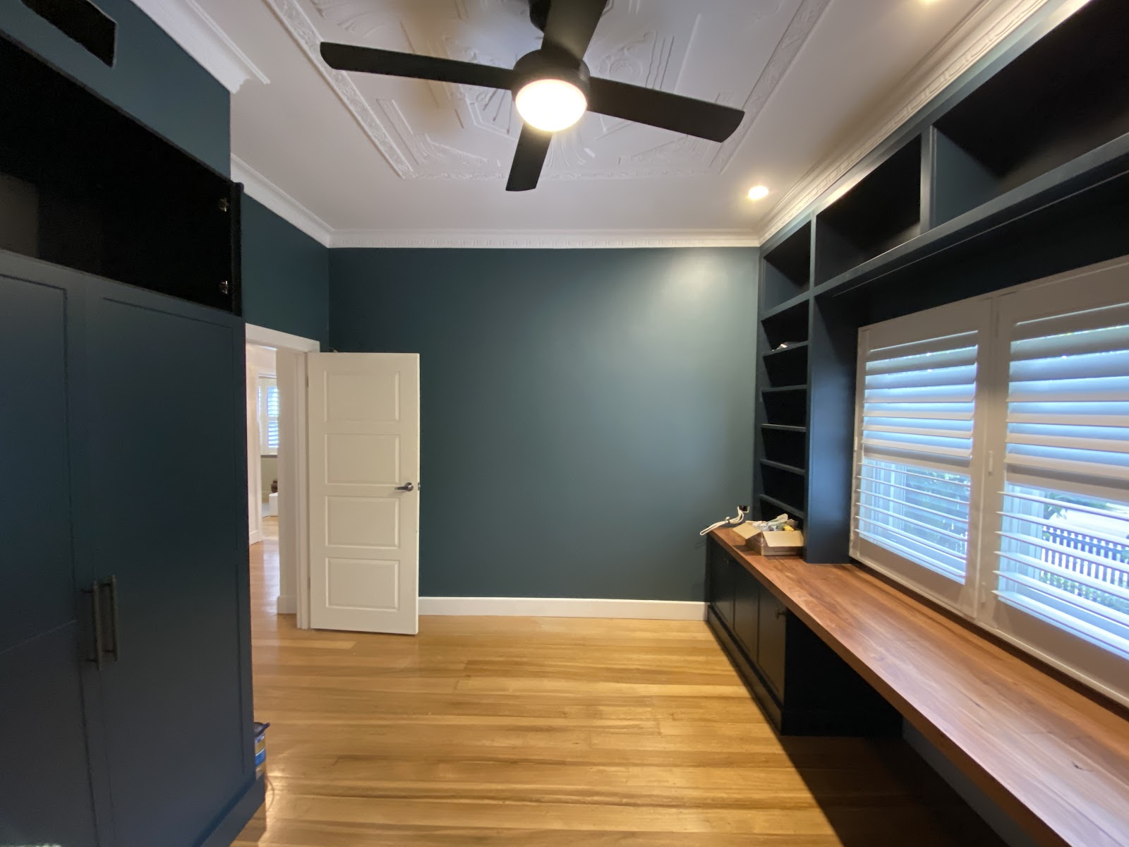 McGlashan Mould Removal & Painting