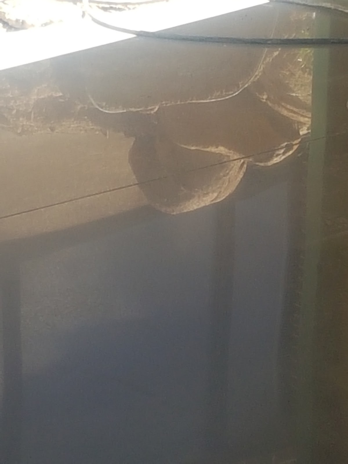 Mitshalo concrete cutting and coring