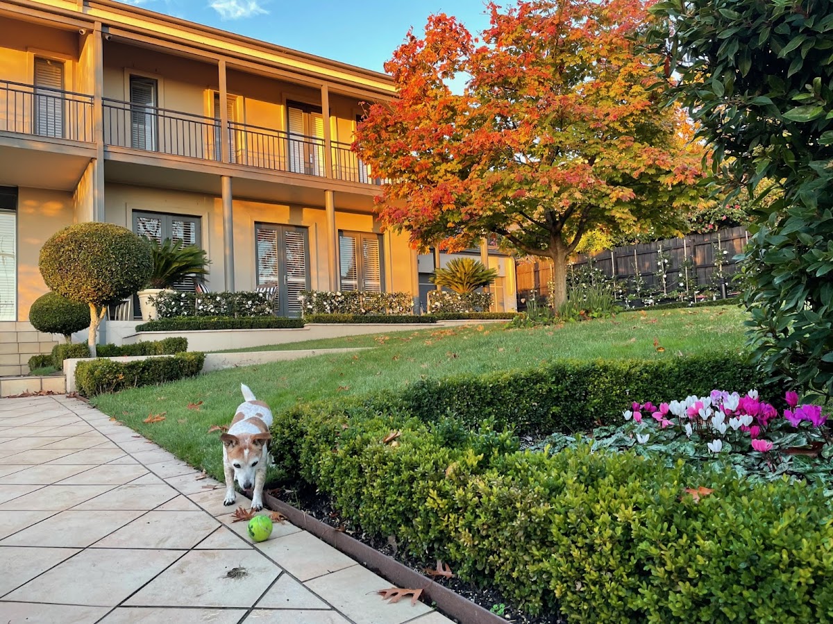 MJ Landscaping & Gardening