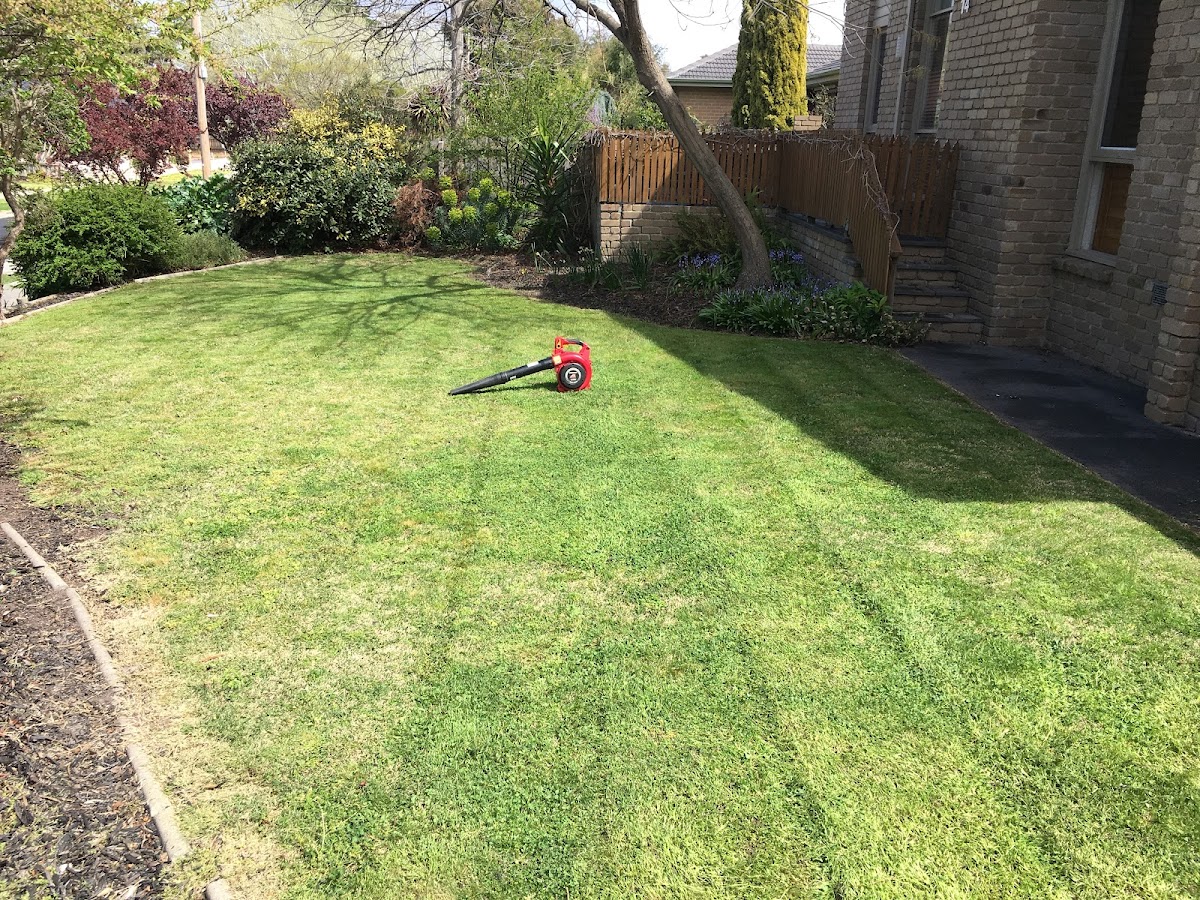 Mow Man