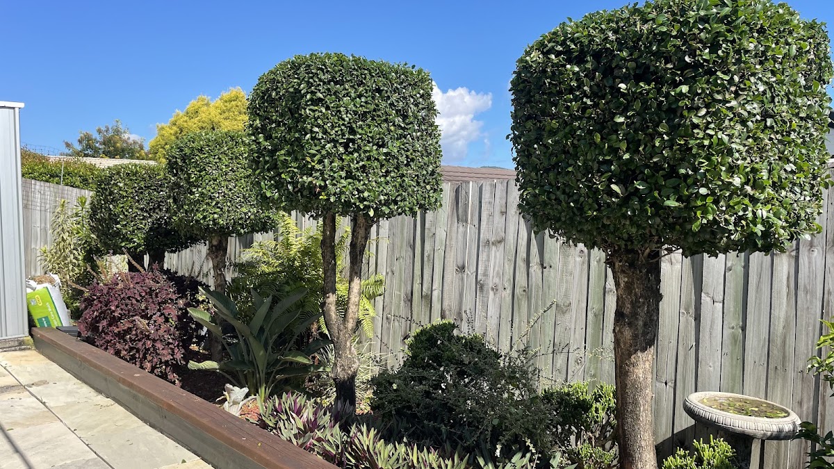 My Greenfinger QLD