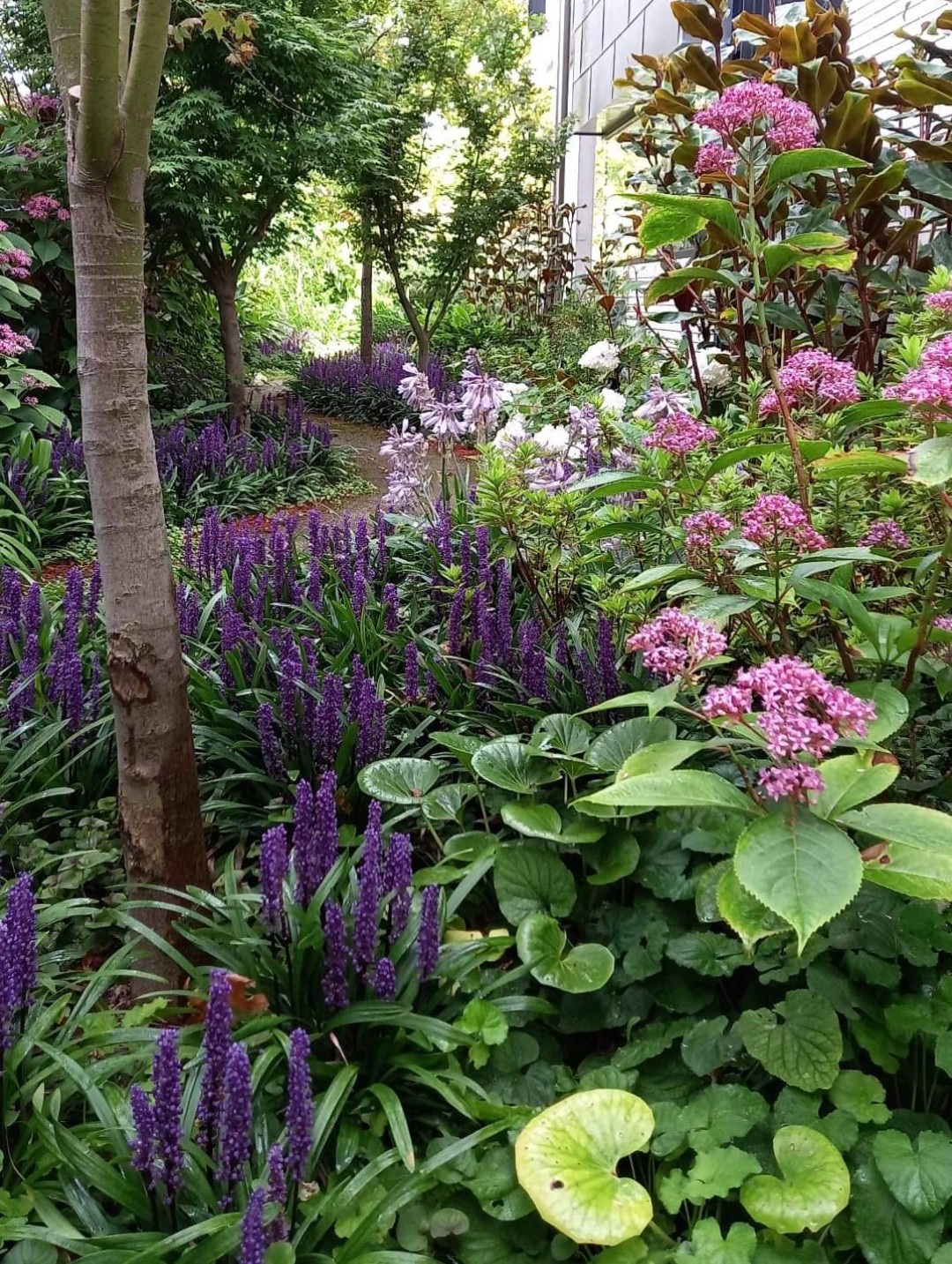 Nature's Edge Horticulture Pty Ltd
