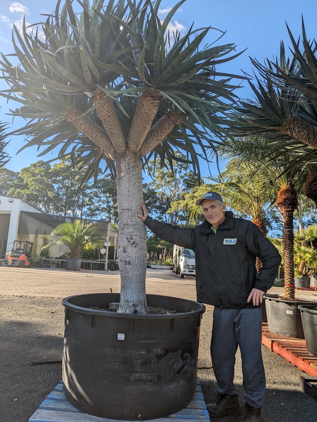 Northside landscaping and gardening
