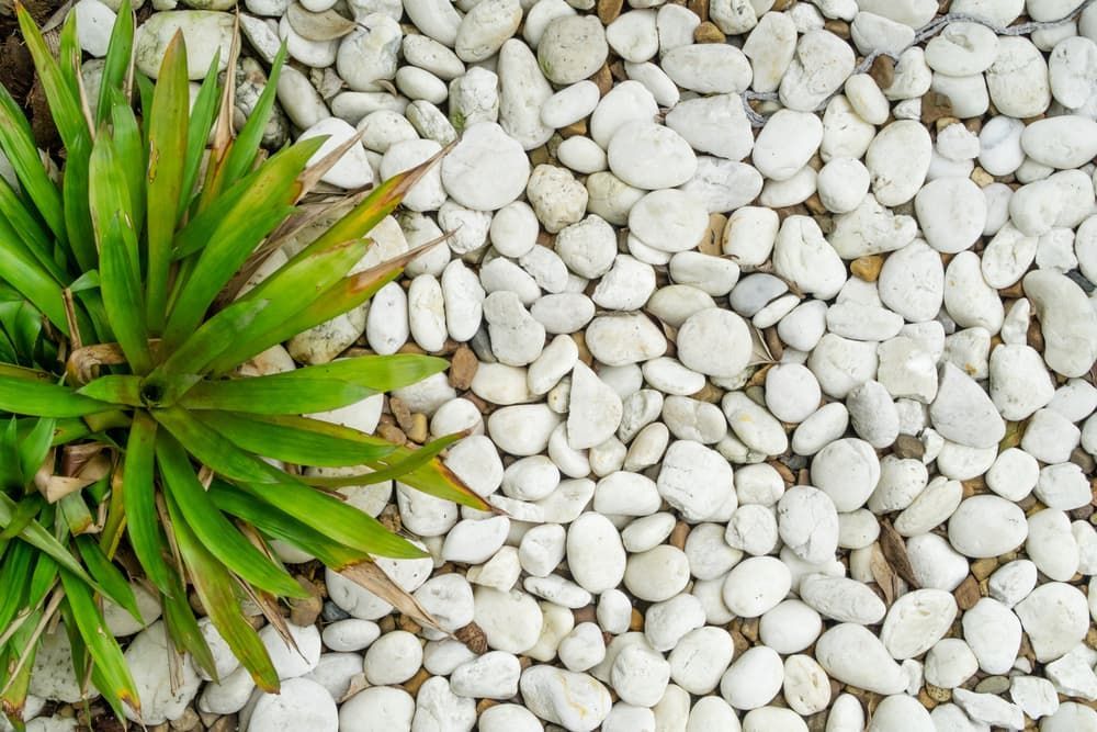 Ourimbah Landscape Supplies