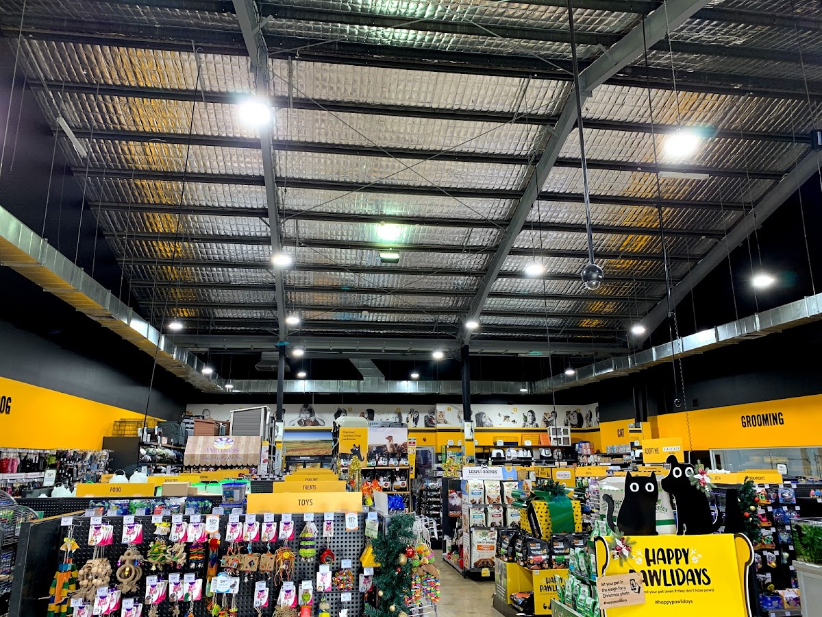 Overhead Electrical