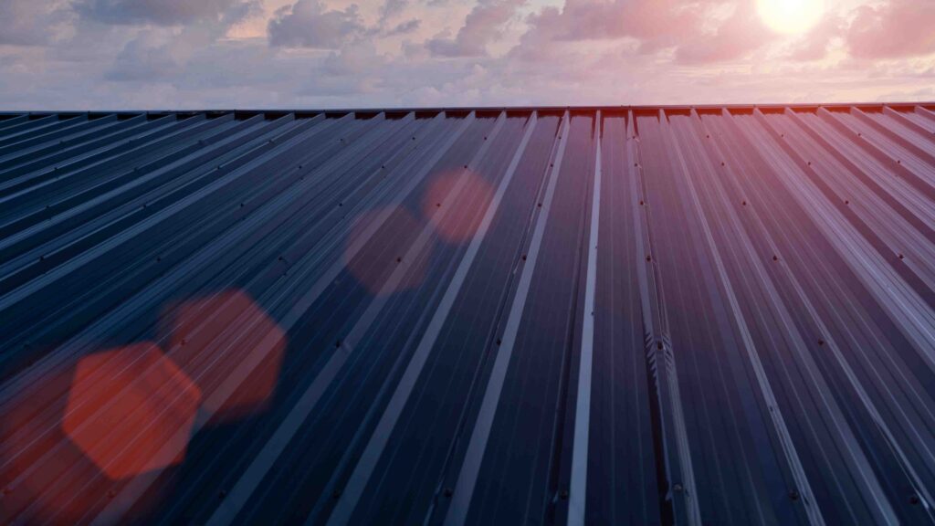 Paku Roof Services