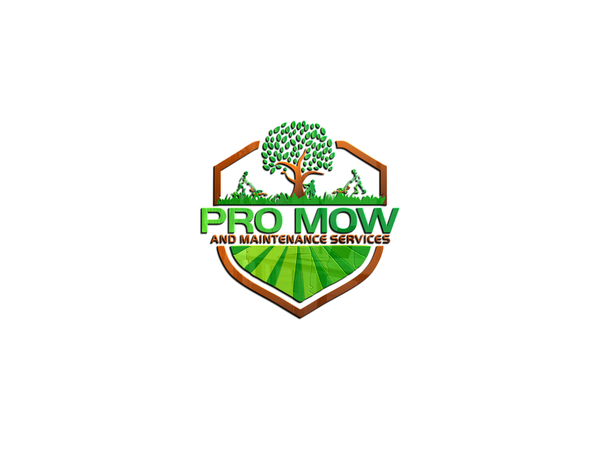 Pro Mow and Maintenance