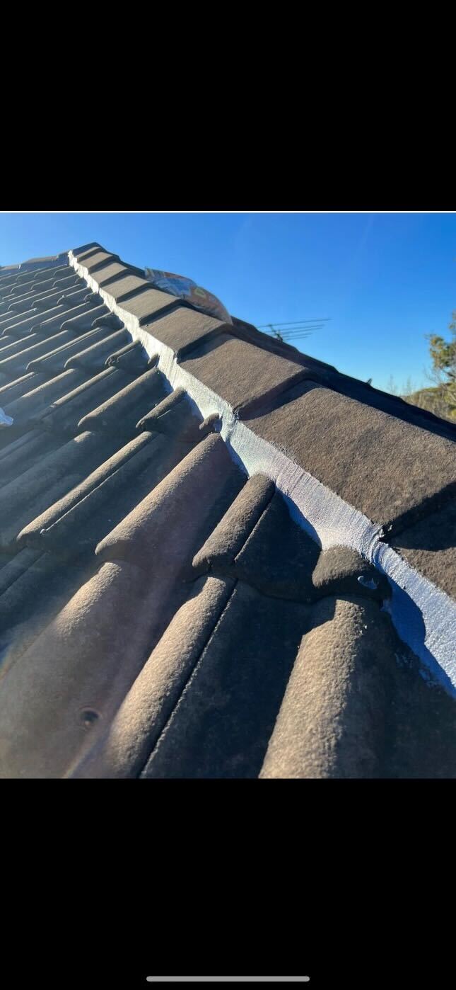 Protex Roofing Solutions Pty Ltd
