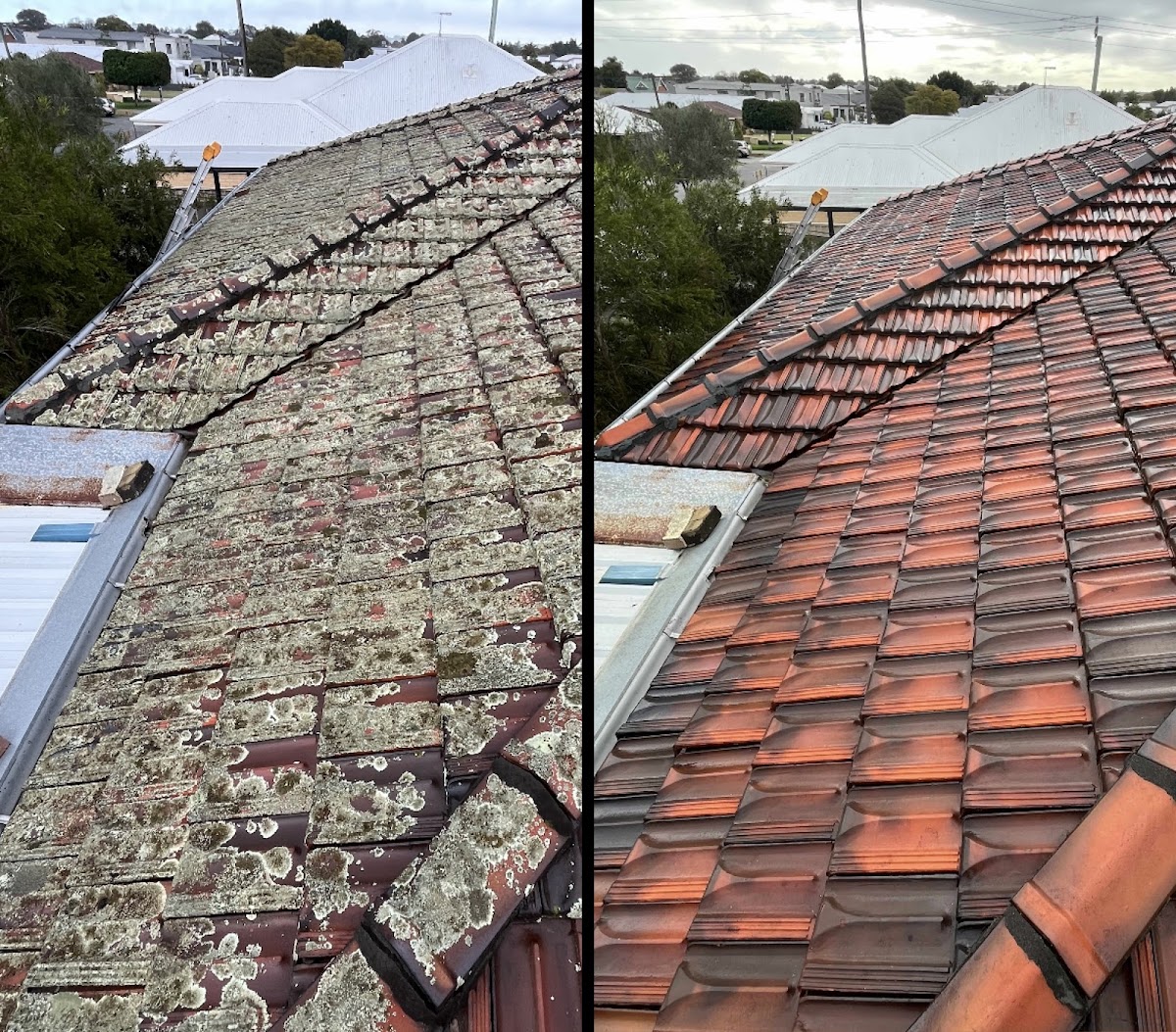 Renowned Roof Restorations