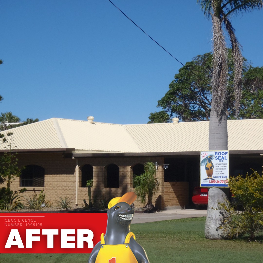 Roof Seal FNQ