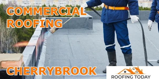 Roofing Today of Cherrybrook