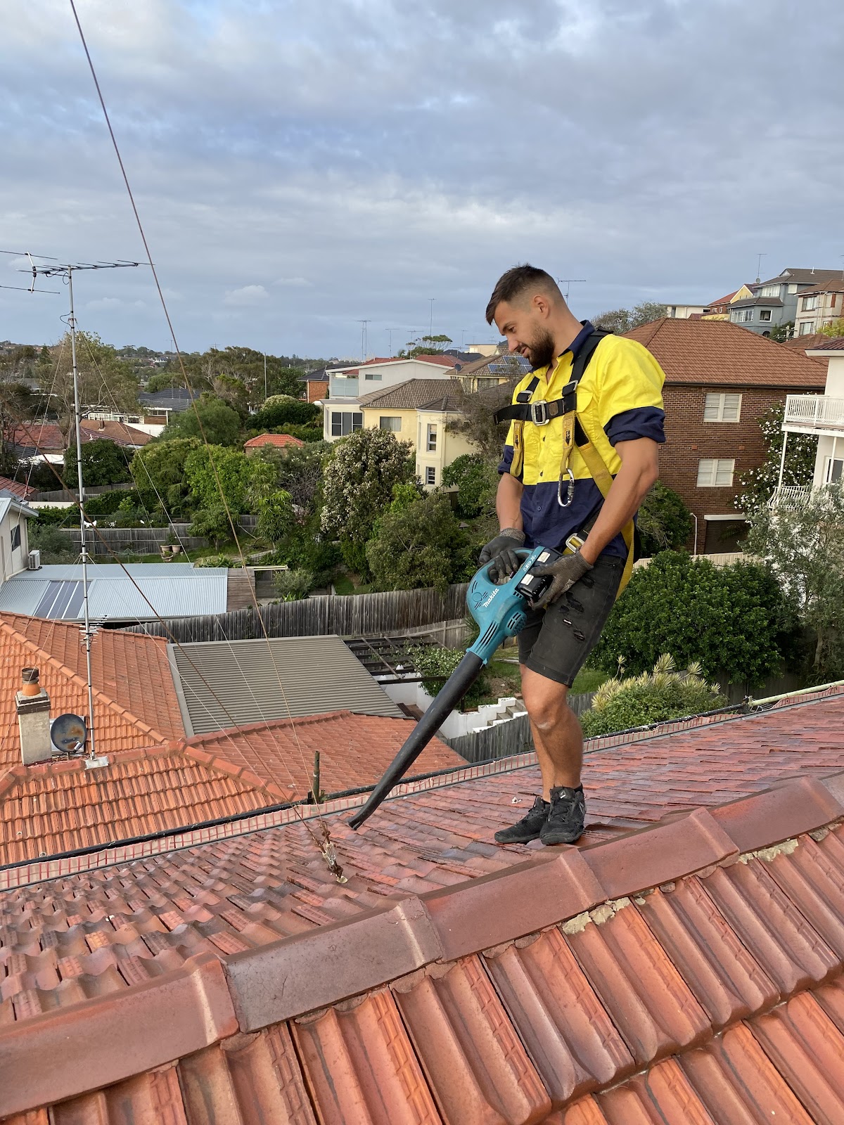 Rooftop Services