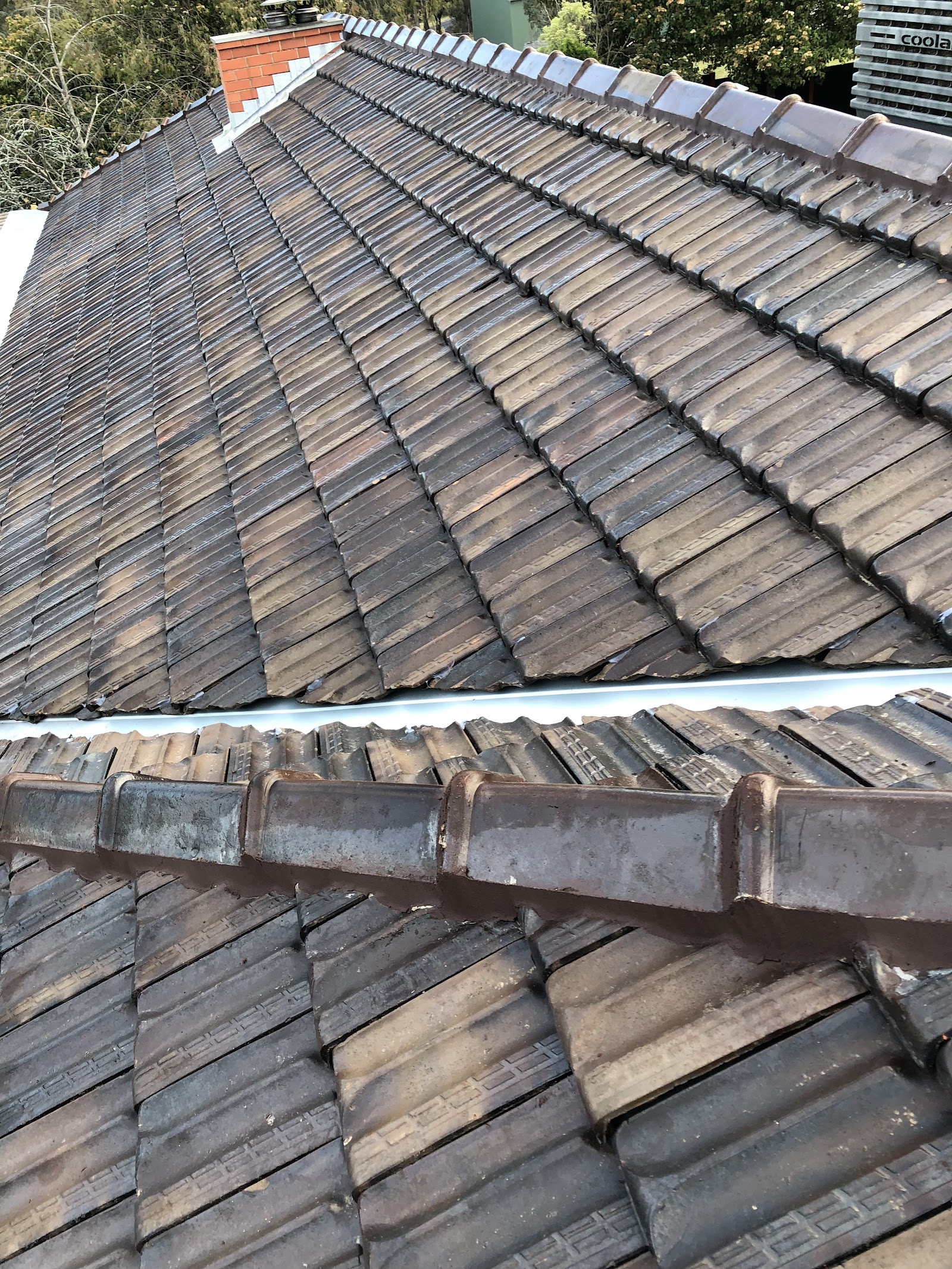 Ross the Roofer