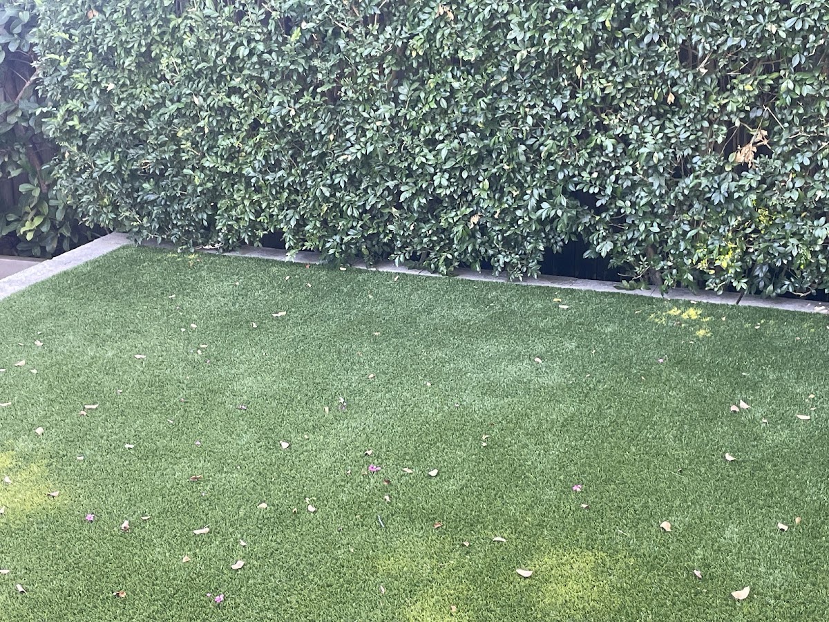 Royal Lawns