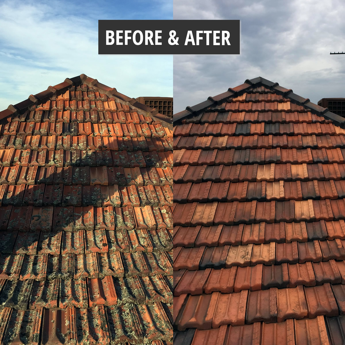 Royce Roofing