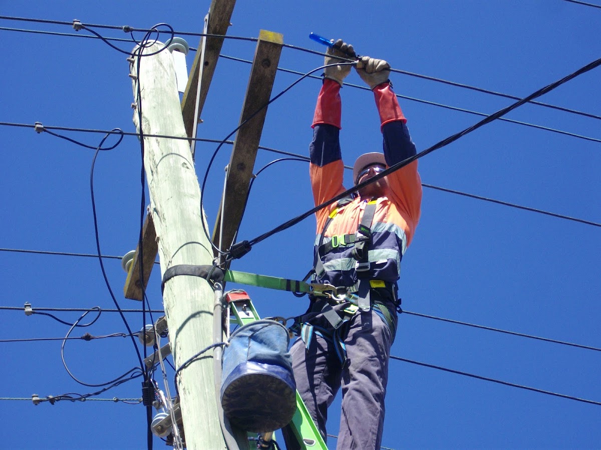 Roysted Pty Ltd