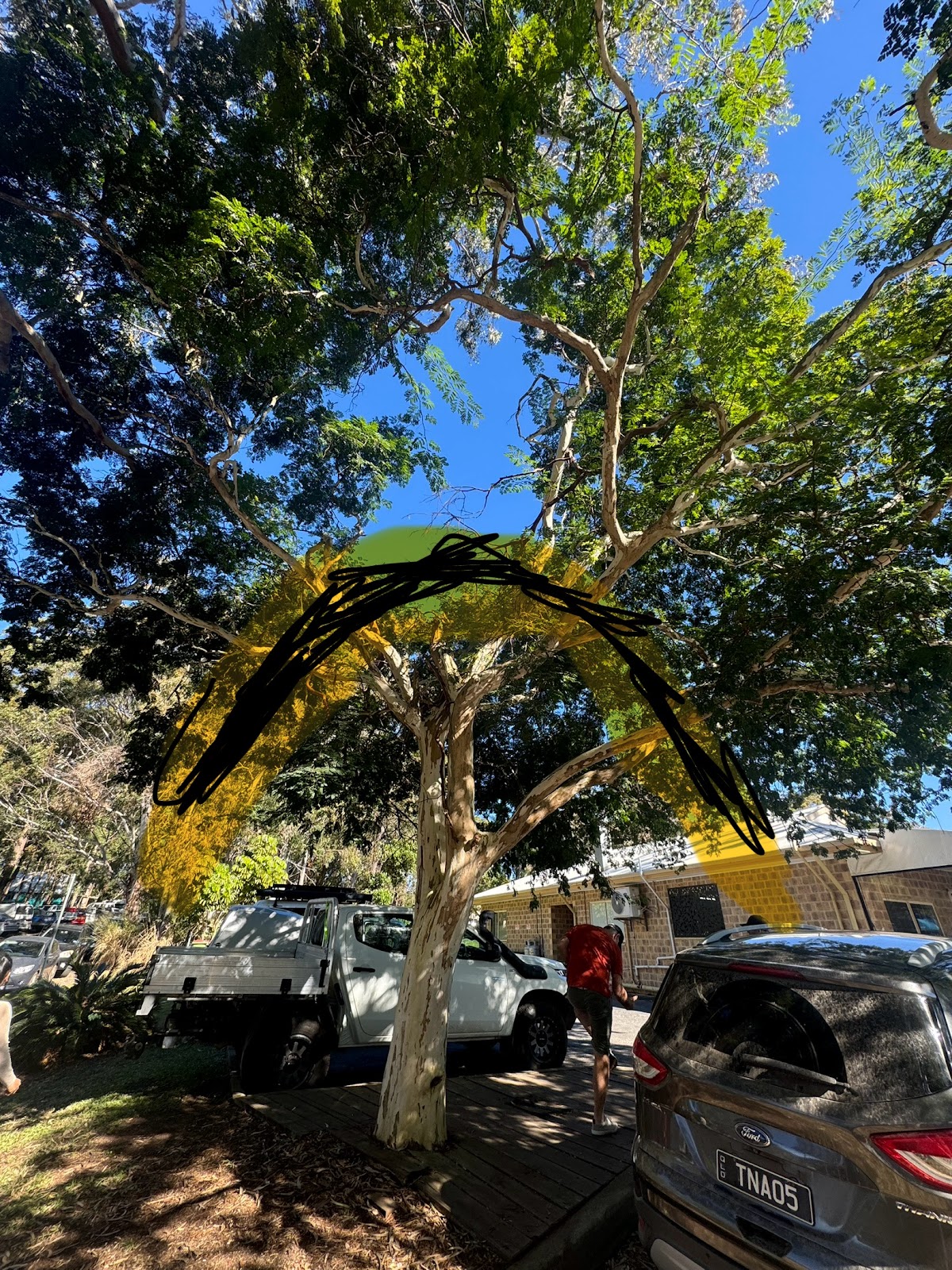 russell island block clearing tree lopping building services