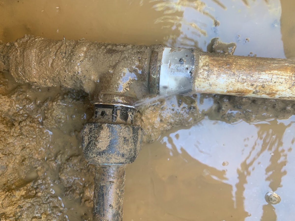 Shine Plumbing Co.