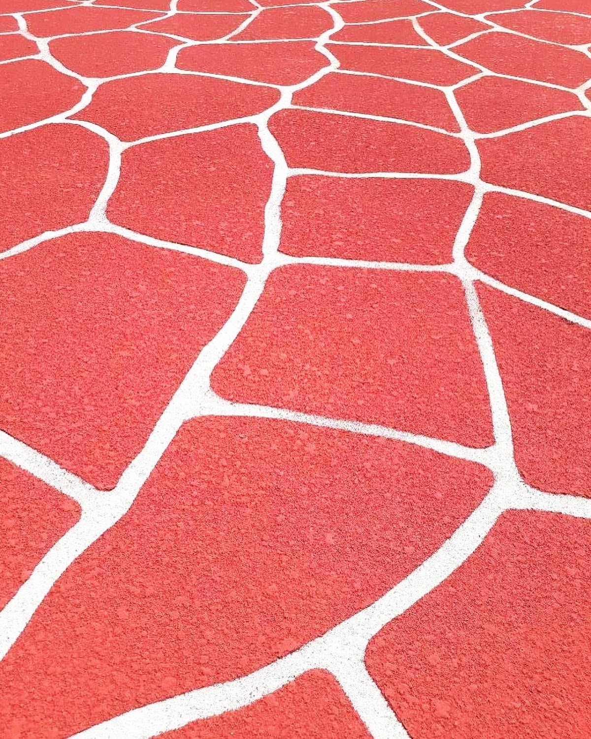 Spray Pave WA