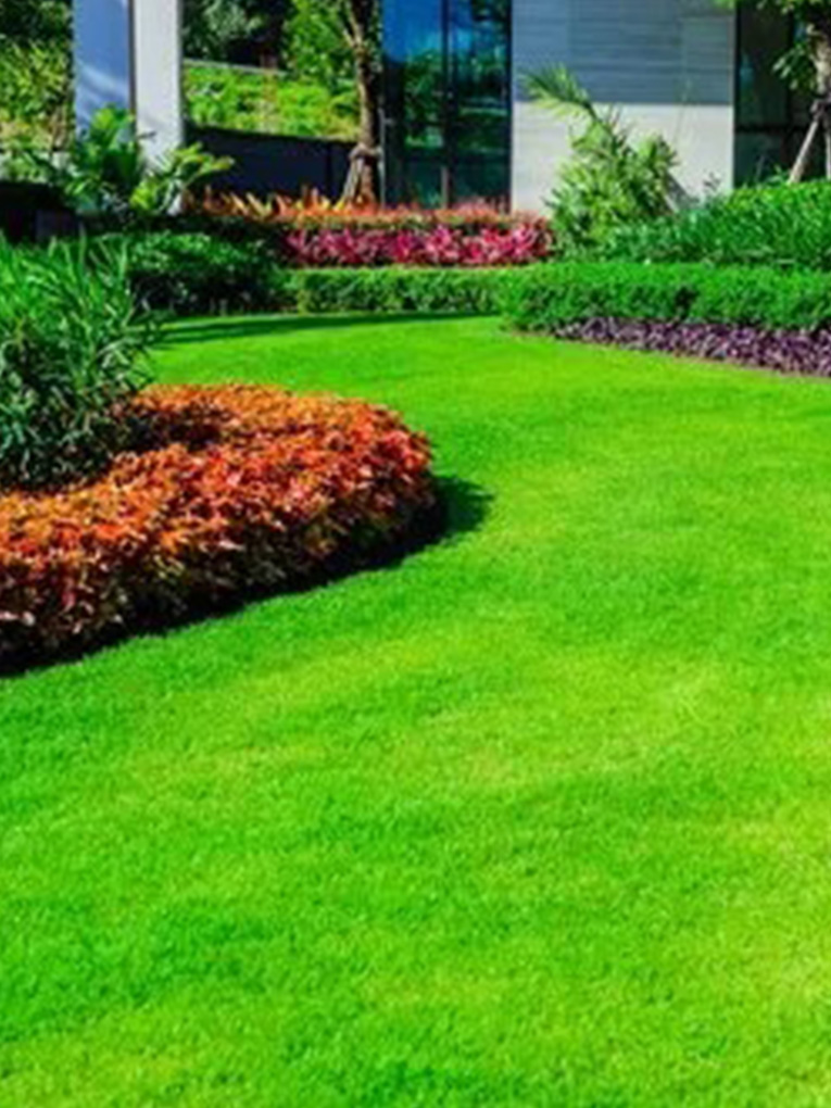 Sura Landscaping & Home improvement