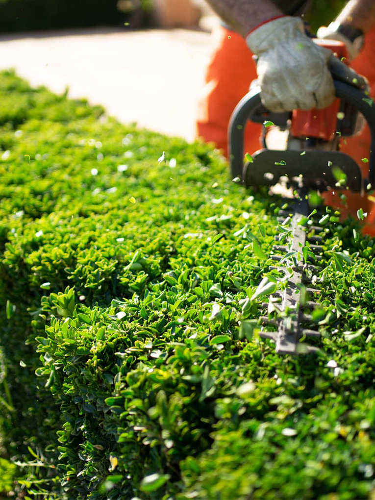 Sura Landscaping & Home improvement work photo