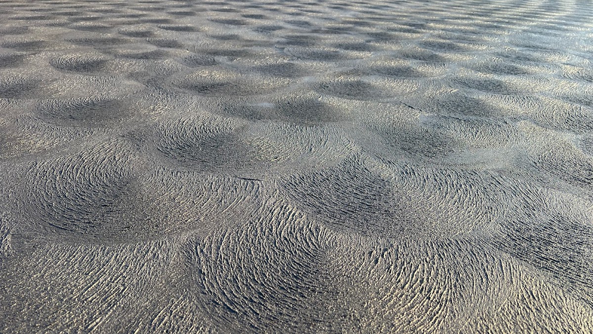 The Coast's Concrete Doctor