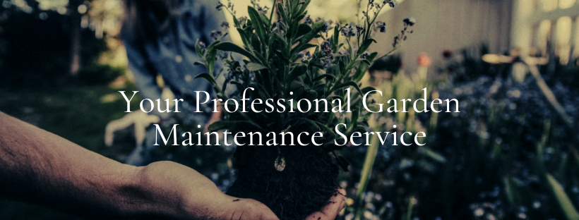The Garden Men