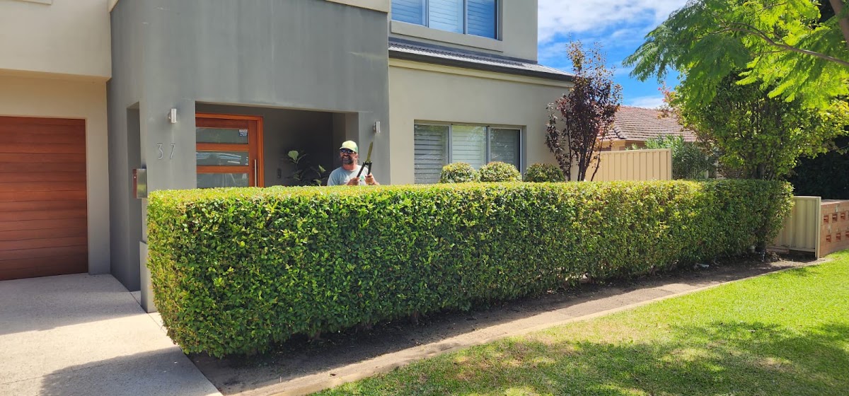 The Hedge Whisperer - Gardening Services