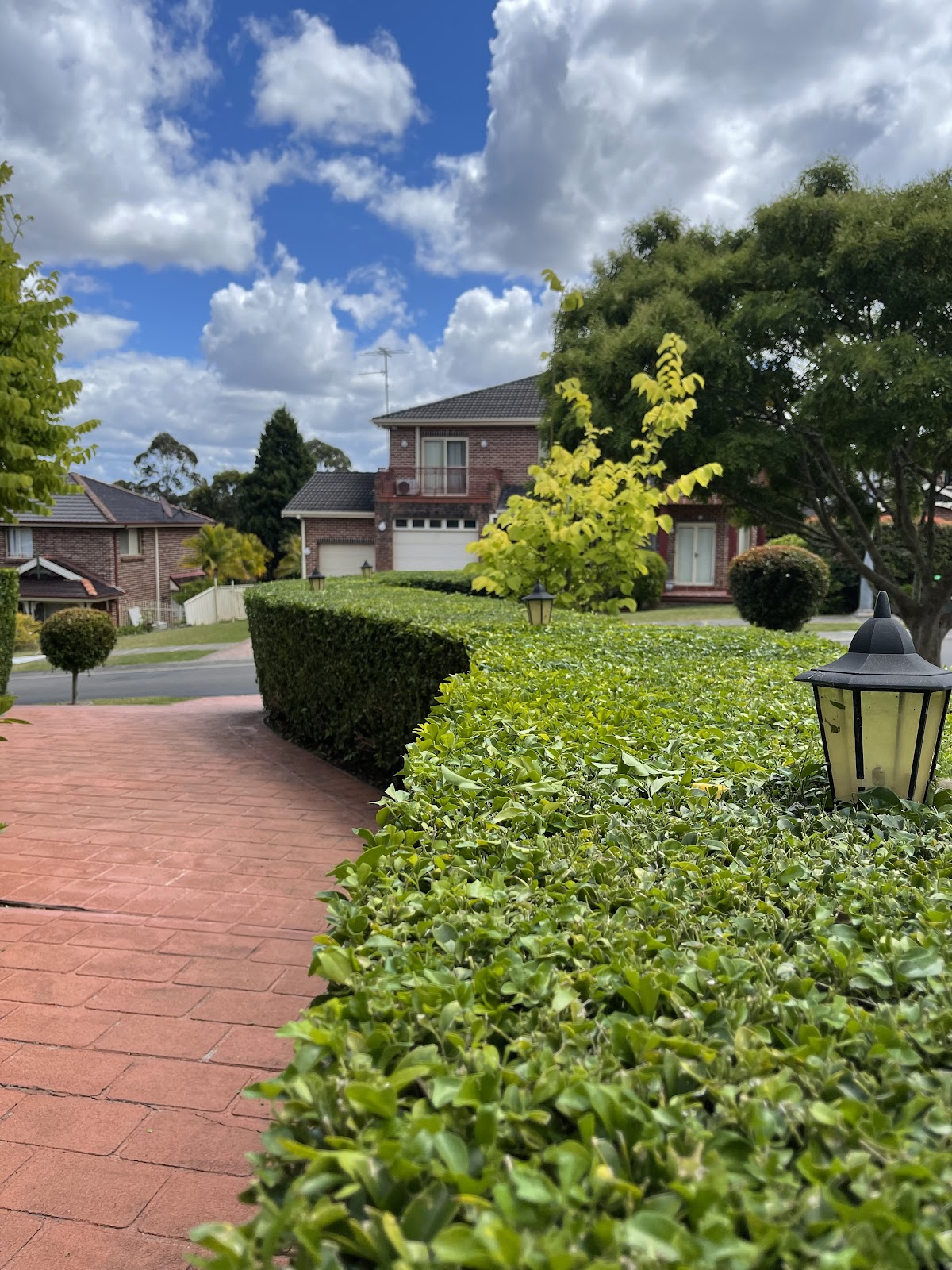 The Hills Hedge Man