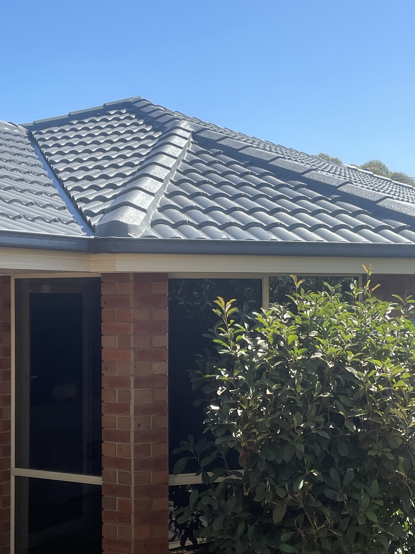The Roof Reviver