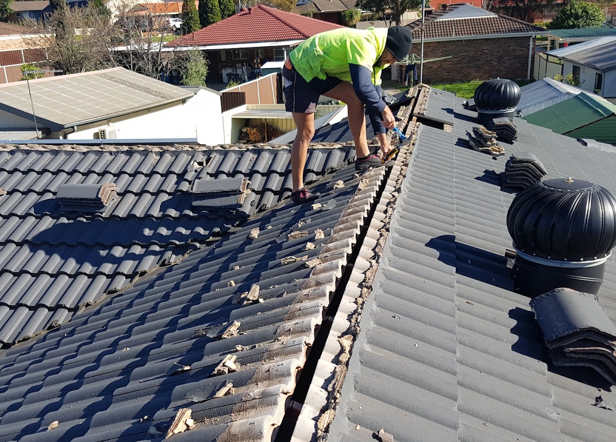 The Roofing Professionals Westside