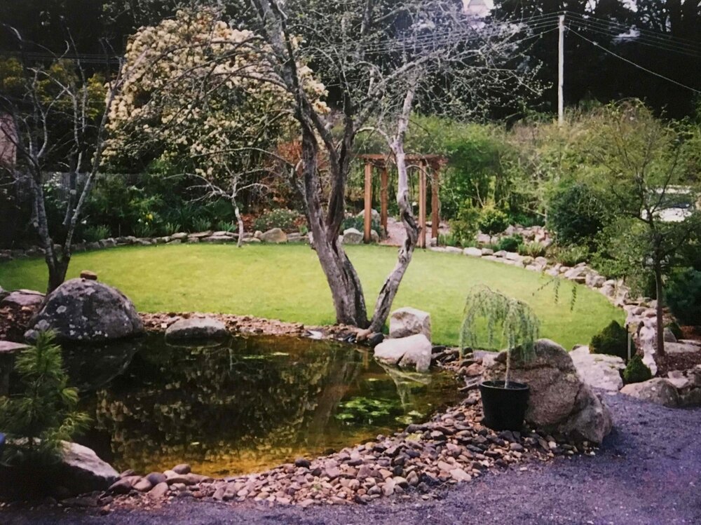The Whole Garden