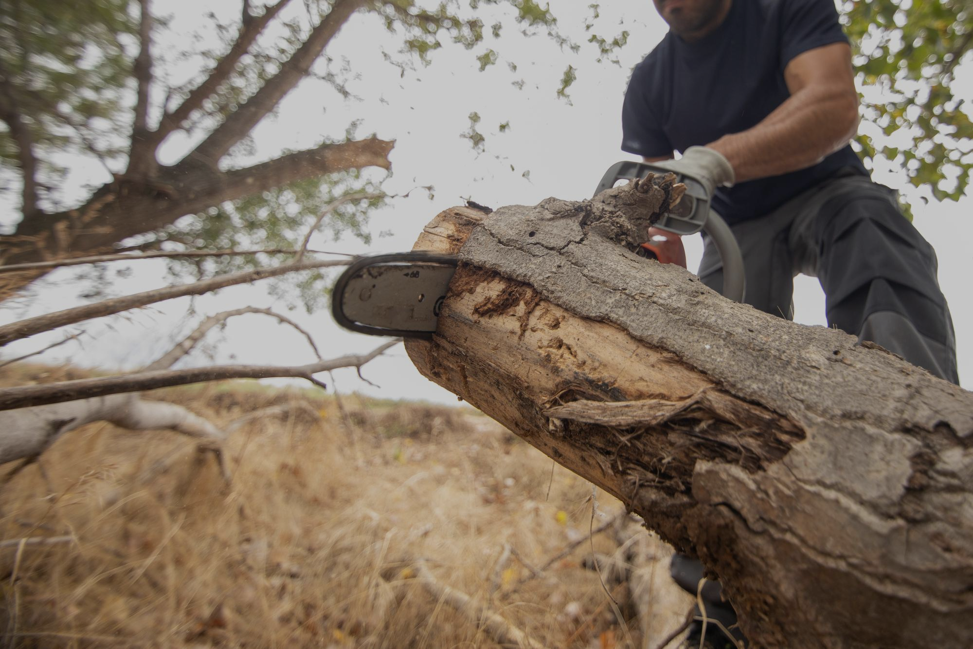 Tree Trotters Victoria Pty Ltd