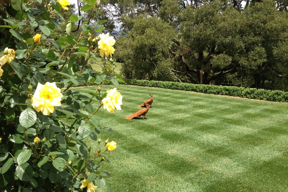 Turf 2 Trees Horticulture