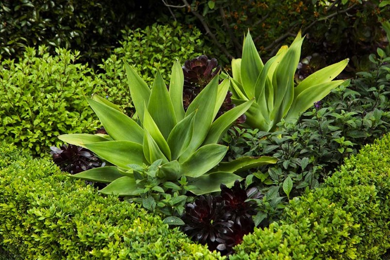 Van Leeuwen Green Horticultural Services