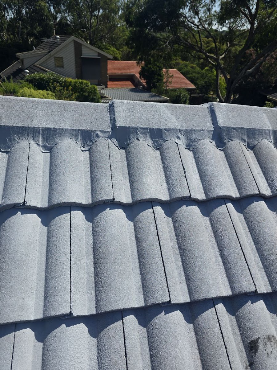 Vicroofing Services & Maintenance
