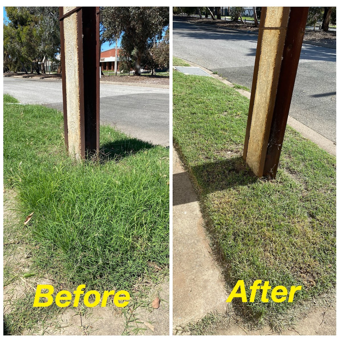 Vision Landscaping and Gardening