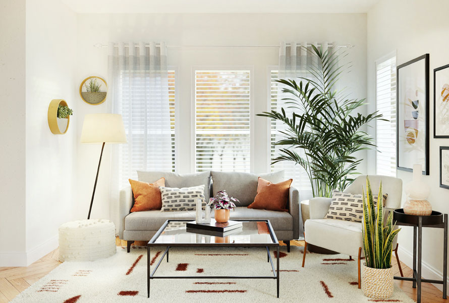 Vision Painting Professionals