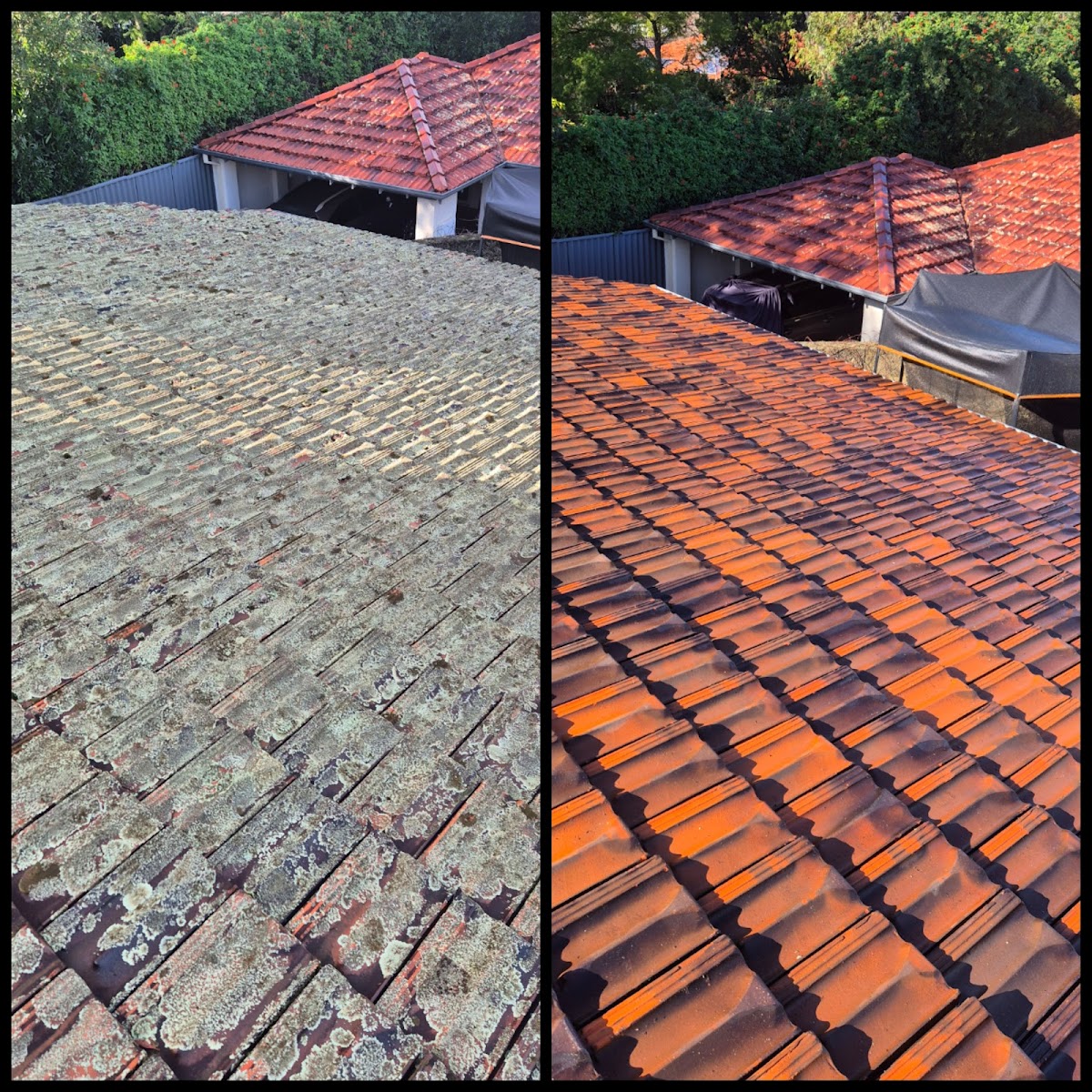 Westside Roof Cleaning and Soft Wash