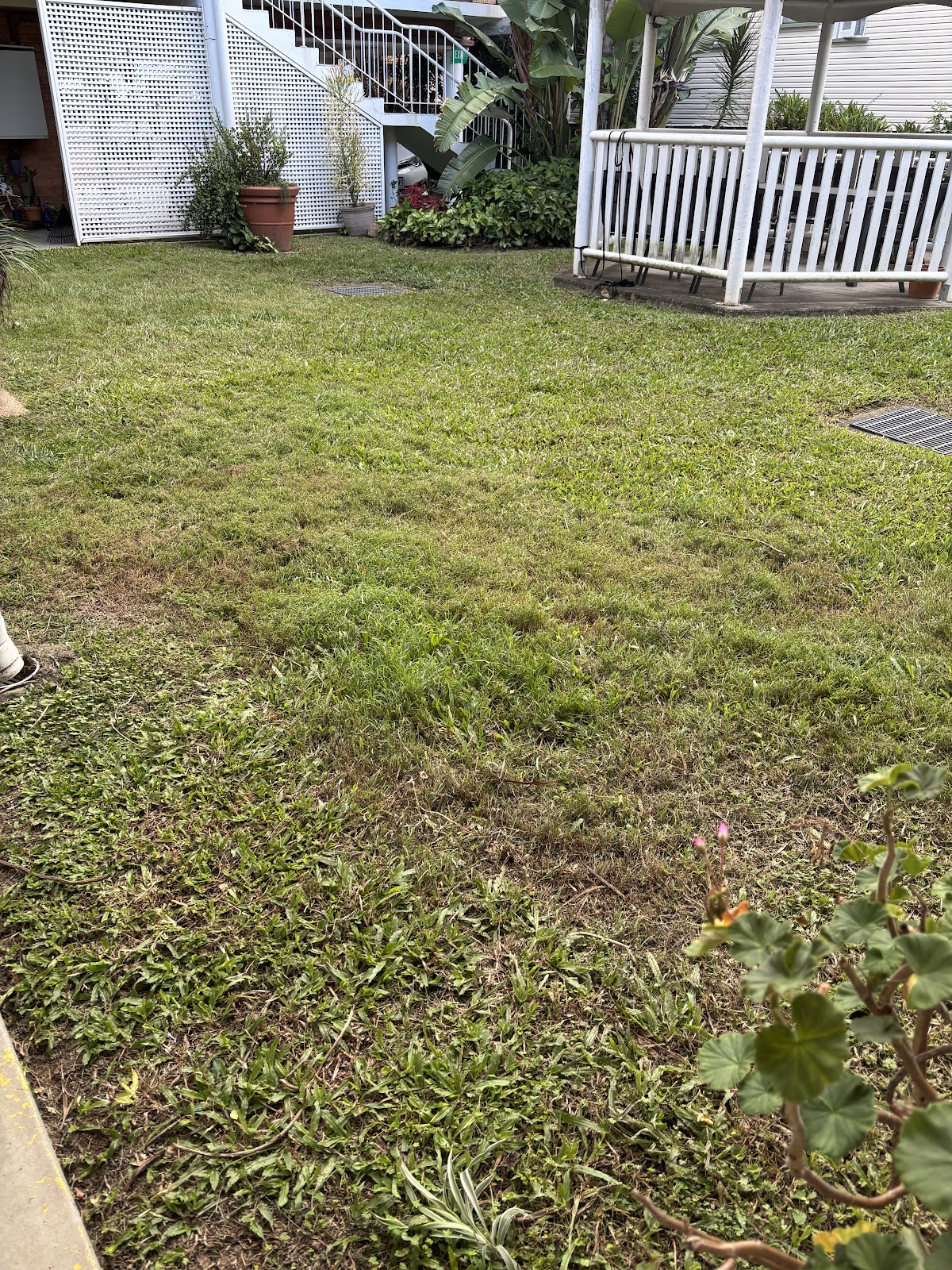 Whole Yards