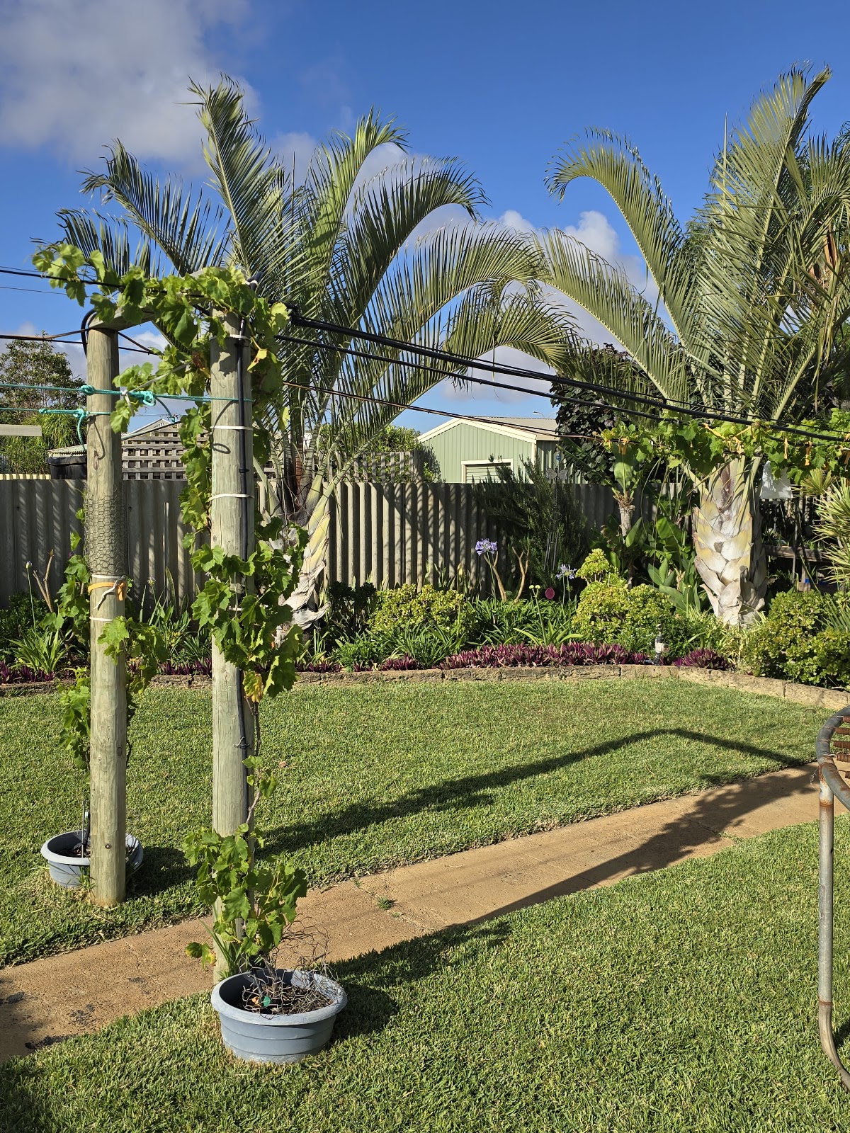 Willo's Landscaping & Maintenance