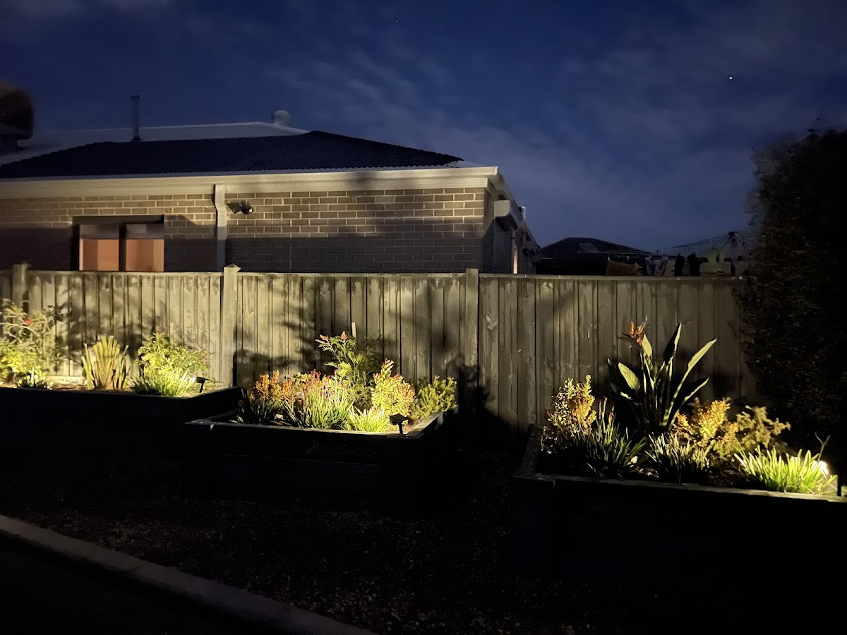 WP Electrical