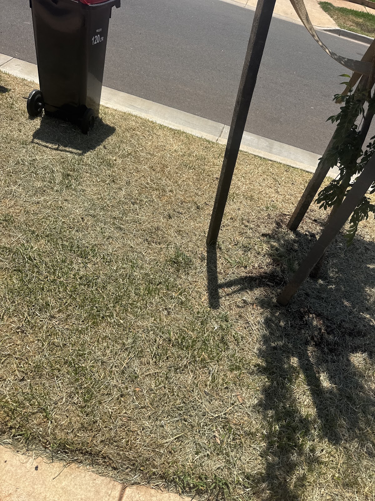 Your Grass Mower