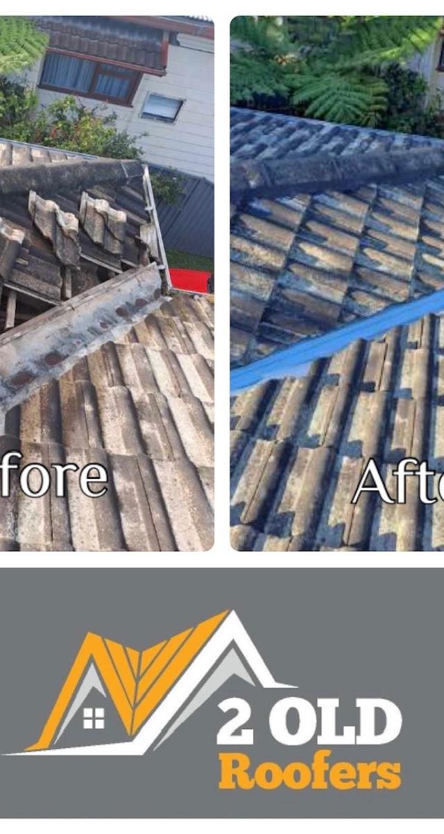 2 OLD ROOFERS
