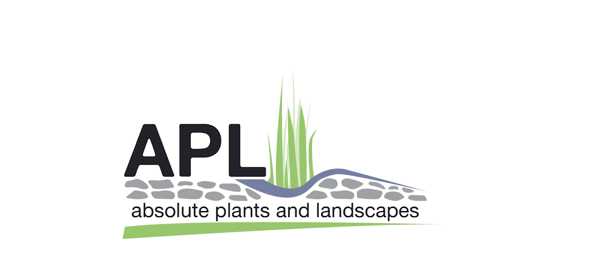 Absolute Plants and Landscapes