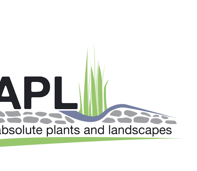 Absolute Plants and Landscapes