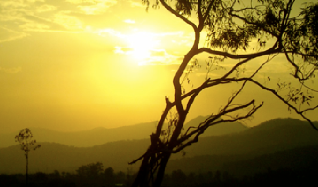 Adelaide Landscaping