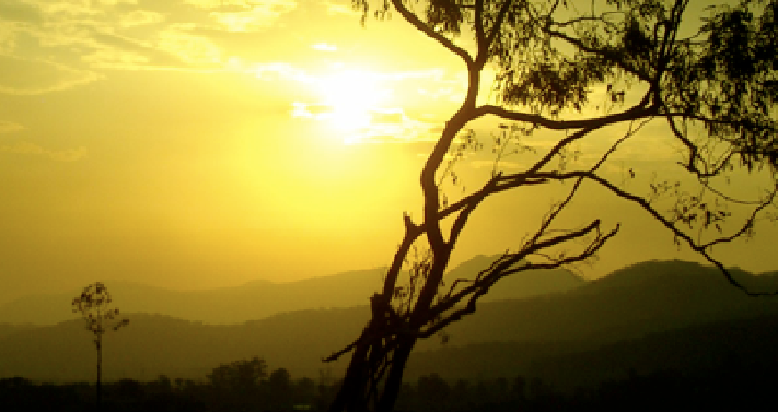 Adelaide Landscaping