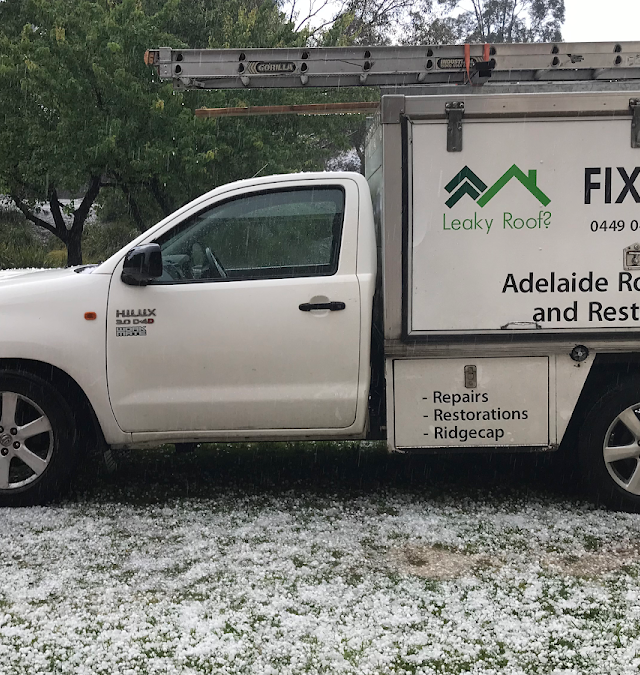 Adelaide Roofs